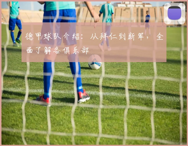 德甲球队介绍:从拜仁到新军,全面了解各俱乐部