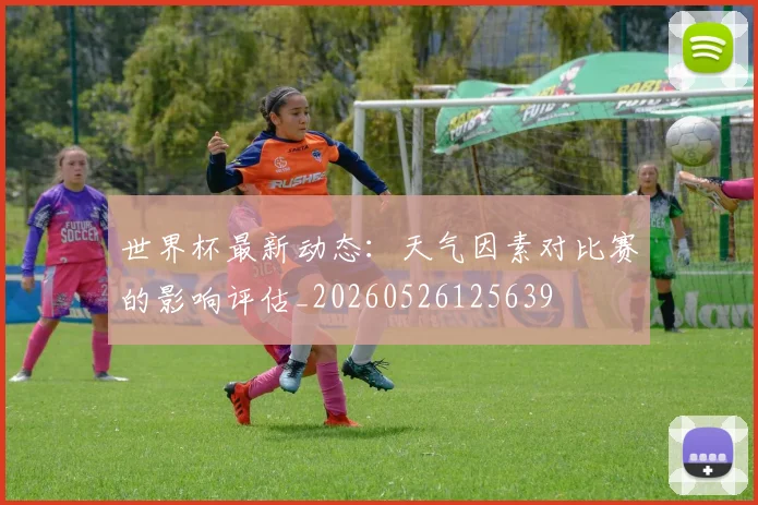 世界杯最新动态:天气因素对比赛的影响评估_20260526125639